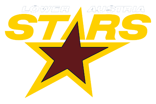 Avn stars logo